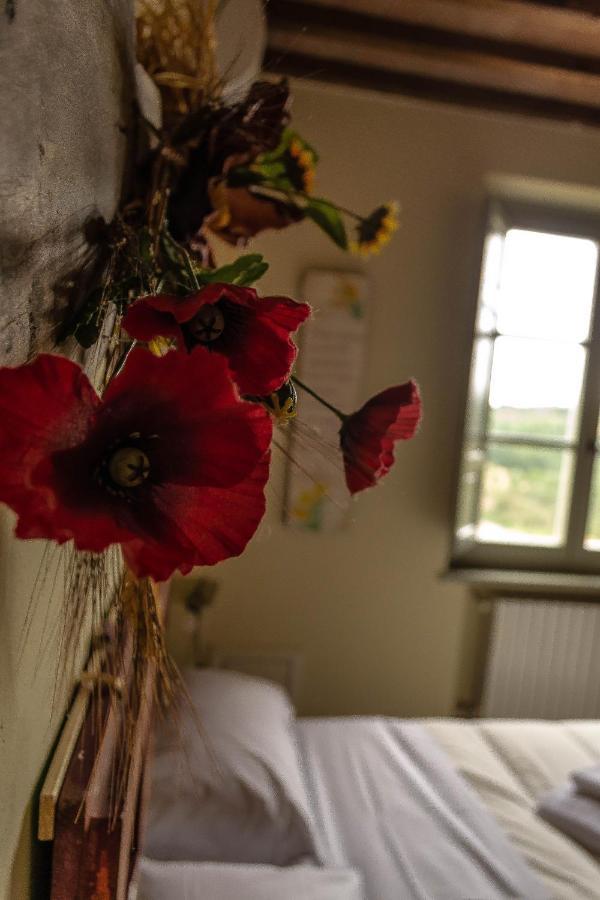 Agriturismo L'Olmo Σαν Τζιμινιάνο Εξωτερικό φωτογραφία