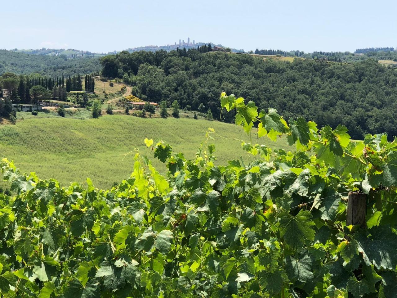 Agriturismo L'Olmo ξενώνας Σαν Τζιμινιάνο Εξωτερικό φωτογραφία