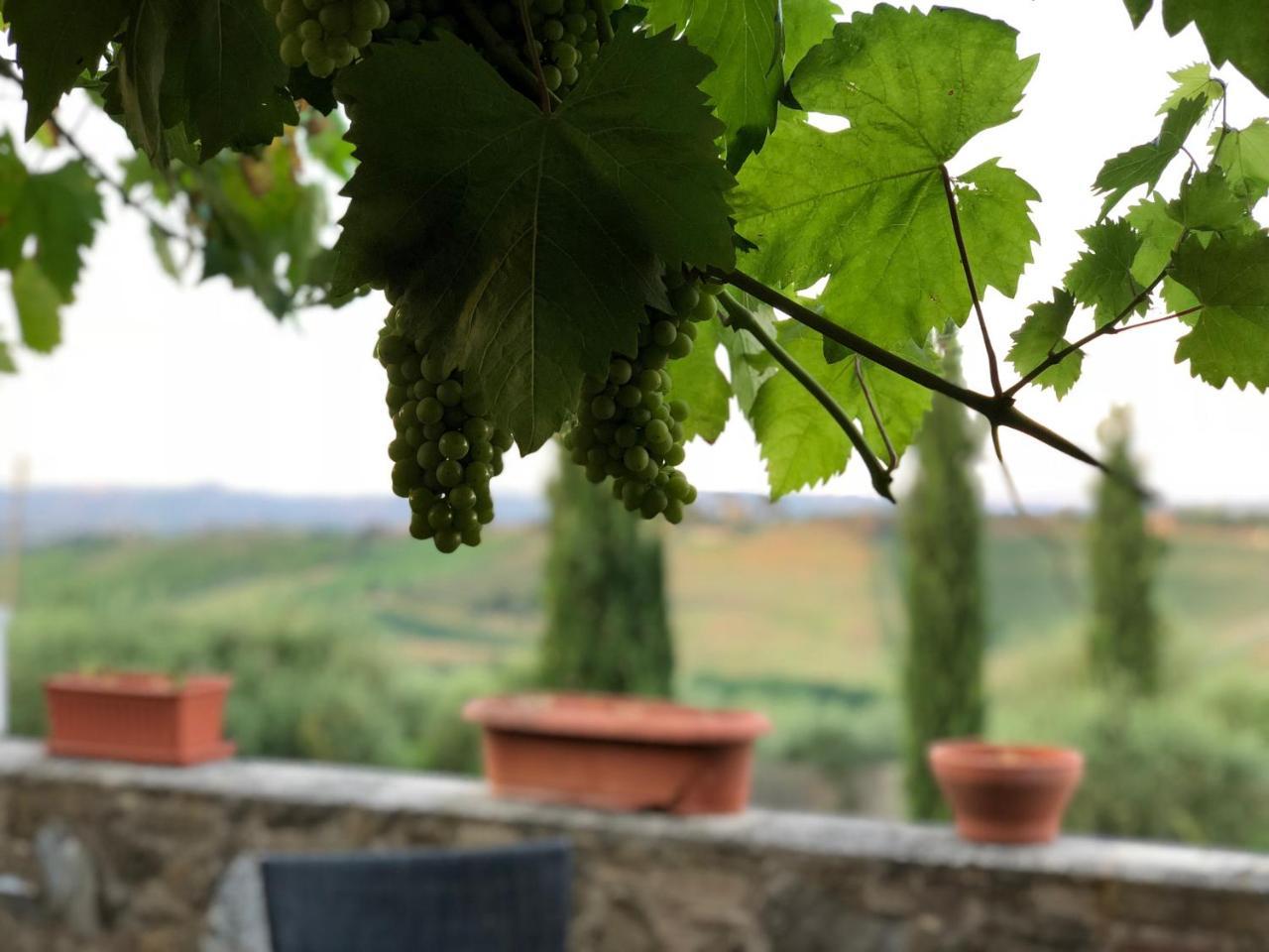 Agriturismo L'Olmo Σαν Τζιμινιάνο Εξωτερικό φωτογραφία