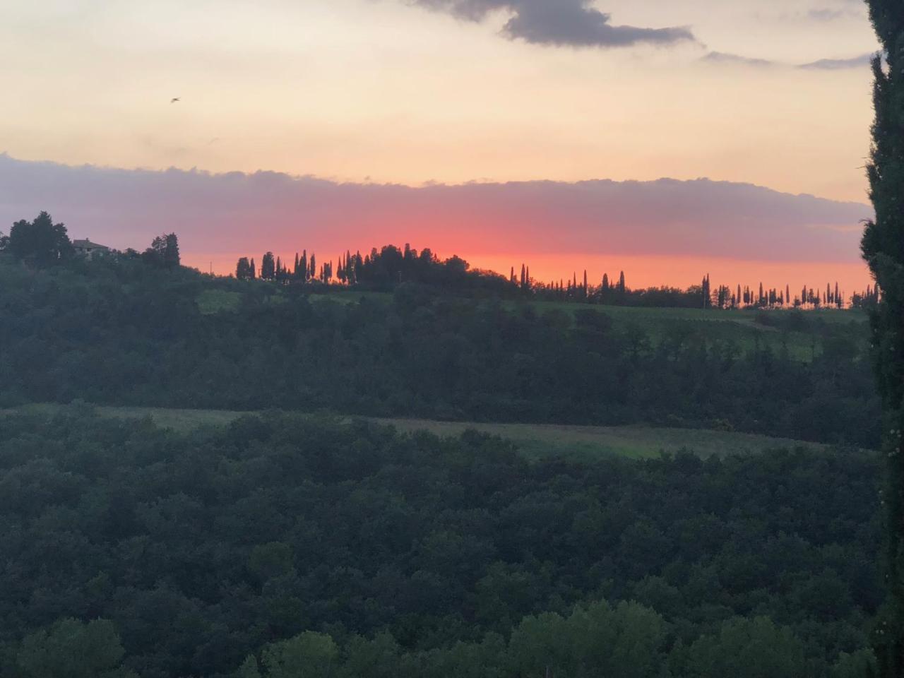 Agriturismo L'Olmo Σαν Τζιμινιάνο Εξωτερικό φωτογραφία