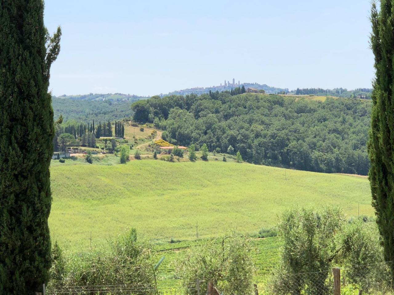 Agriturismo L'Olmo ξενώνας Σαν Τζιμινιάνο Εξωτερικό φωτογραφία