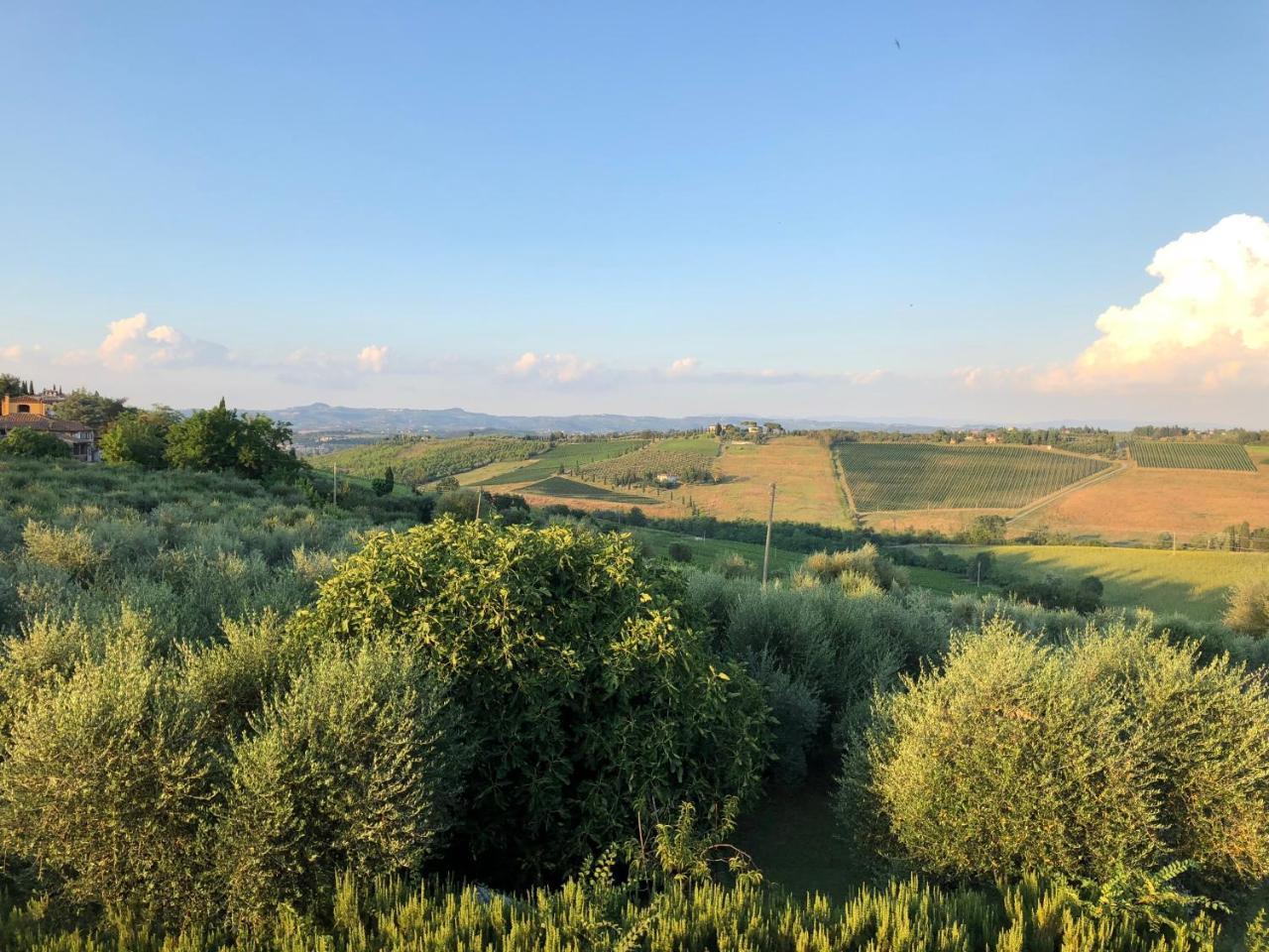 Agriturismo L'Olmo ξενώνας Σαν Τζιμινιάνο Εξωτερικό φωτογραφία